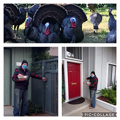 collage of OLLI member delivering food