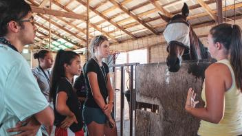 UC Davis Pre-College students listen to a presentation from a student majoring in Animal Science