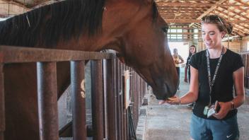 A UC Davis Pre-college student feeds watermelon to a horse during a nutrition and behavior lab