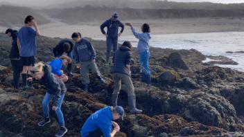 UC Davis Pre-College students explore the tidal pools on the Bodega Reserve