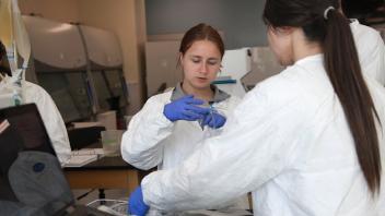 Cell and Gene therapy students working in lab