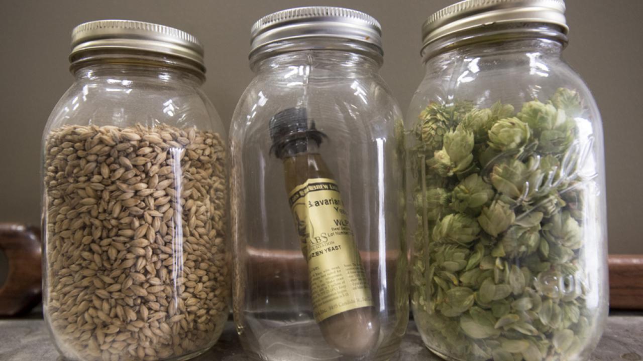 Photo credit: Karin Higgins/UC Davis at Sudwerk Brewing Company brewing ingredients malt, yeast and hops