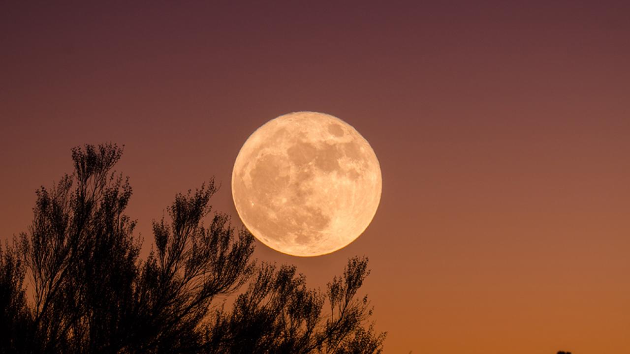 full moon in the sky