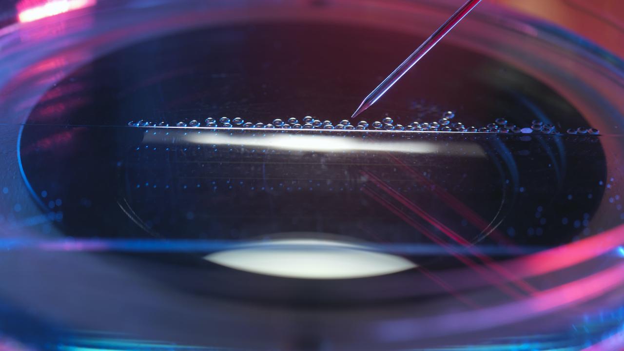 Abstract image of small bubbles in a petri dish. A syringe points toward the bubbles.