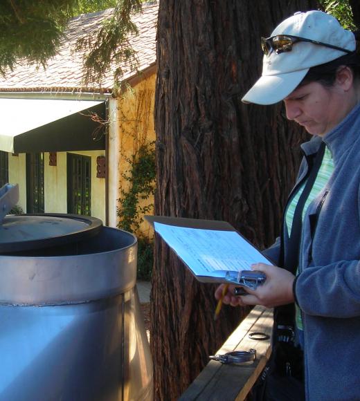 Winemaking certificate program instructor Patricia Howe checking fermentors