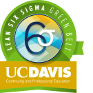 Lean Six Sigma Digital Badge