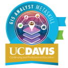GIS Analyst Badge graphic