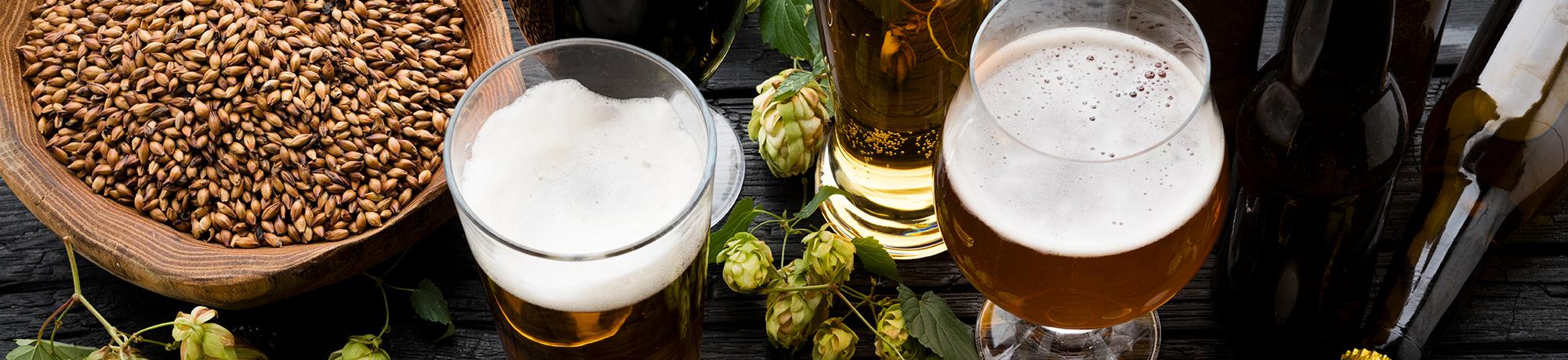 hops and glasses full of beer on a wooden table