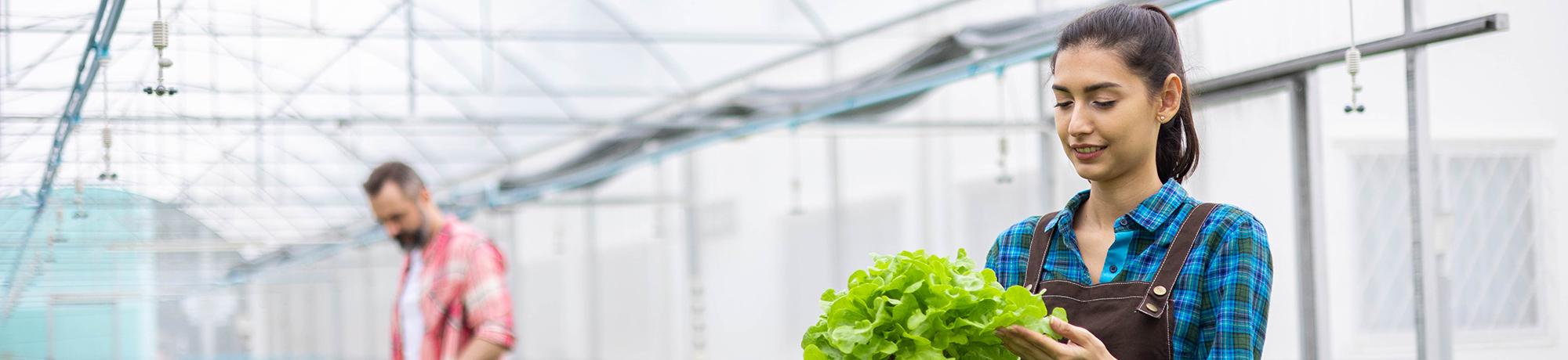 man and woman examining plants in a greenhouse